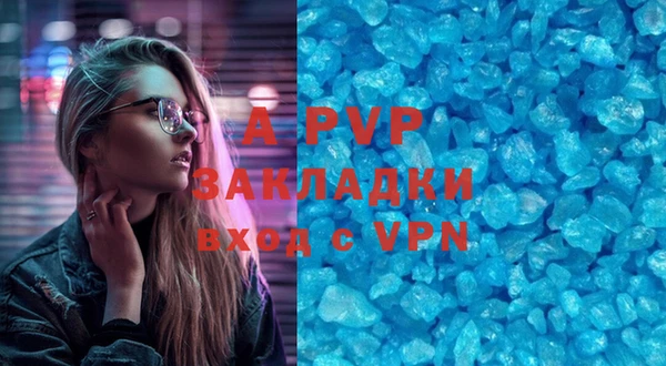 прущие грибы Куйбышев