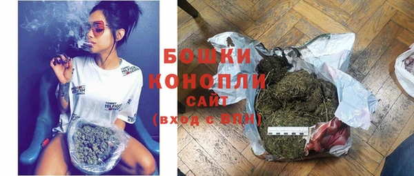 прущие грибы Куйбышев