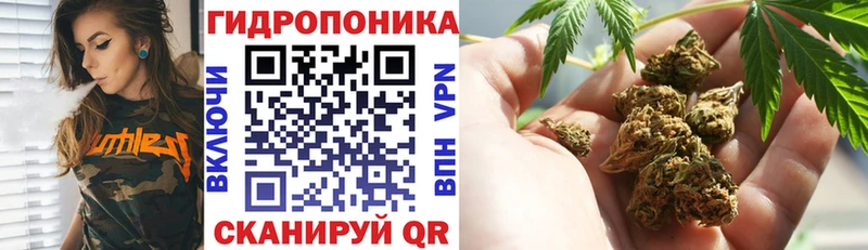 Каннабис OG Kush  Купить где  Десногорск 